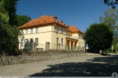 grafika