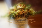 grafika