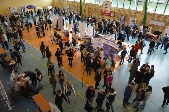 grafika