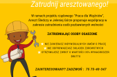 grafika