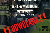 grafika